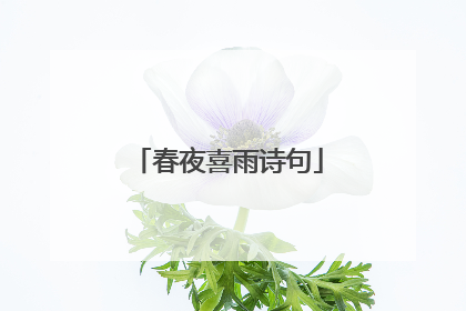 春夜喜雨诗句