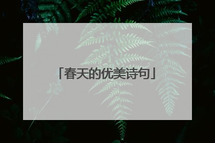 春天的优美诗句