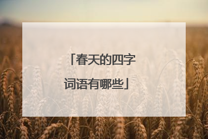 春天的四字词语有哪些