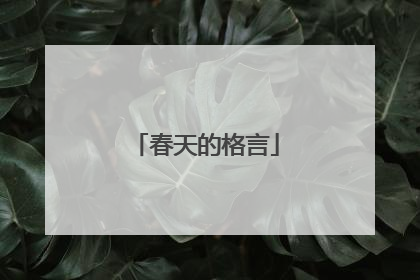 春天的格言