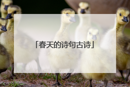春天的诗句古诗