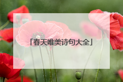 春天唯美诗句大全