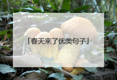 春天来了优美句子