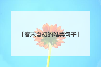 春末夏初的唯美句子