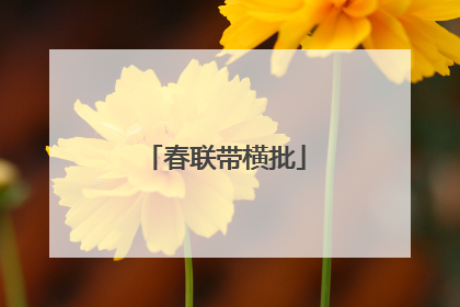春联带横批