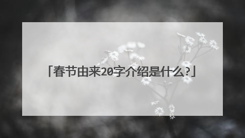 春节由来20字介绍是什么?