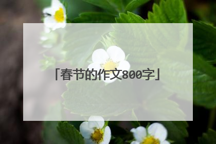 春节的作文800字
