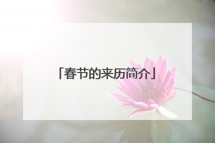 春节的来历简介