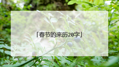 春节的来历20字