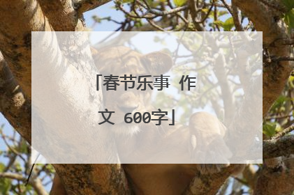 春节乐事 作文 600字