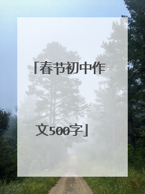 春节初中作文500字