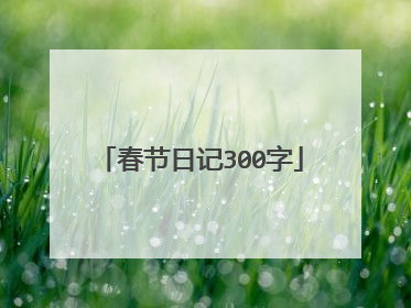 春节日记300字