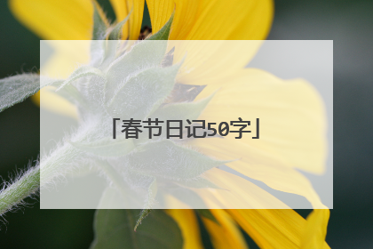 春节日记50字