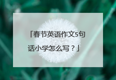 春节英语作文5句话小学怎么写？