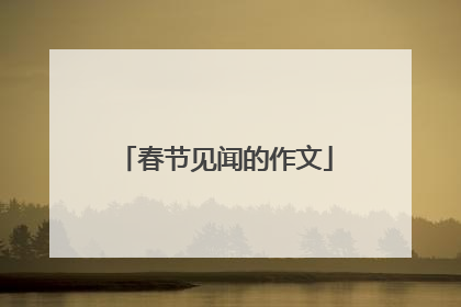 春节见闻的作文