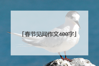 春节见闻作文400字
