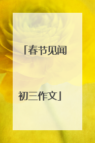 春节见闻初三作文