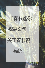 春节迷你祝福金句 关于春节祝福语