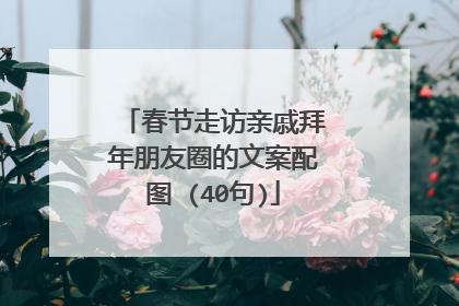 春节走访亲戚拜年朋友圈的文案配图 (40句)