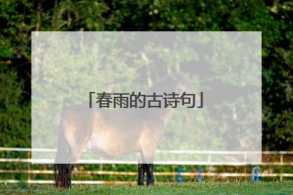 春雨的古诗句