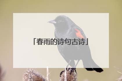 春雨的诗句古诗