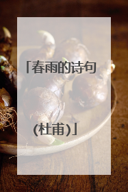 春雨的诗句(杜甫)