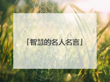 智慧的名人名言