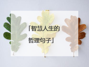 智慧人生的哲理句子