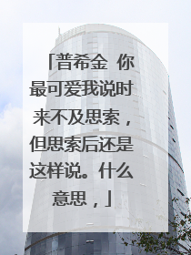 普希金 你最可爱我说时来不及思索，但思索后还是这样说。什么意思，