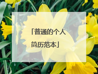 普通的个人简历范本