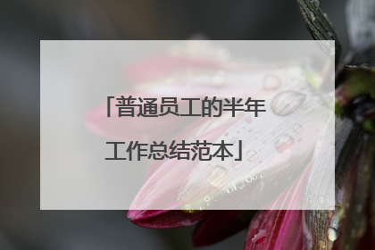 普通员工的半年工作总结范本