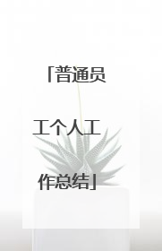 普通员工个人工作总结