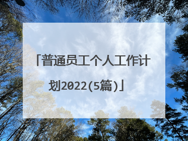 普通员工个人工作计划2022(5篇)