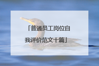 普通员工岗位自我评价范文十篇