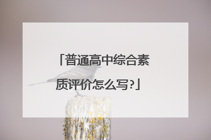 普通高中综合素质评价怎么写?