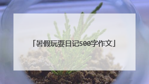 暑假玩耍日记500字作文