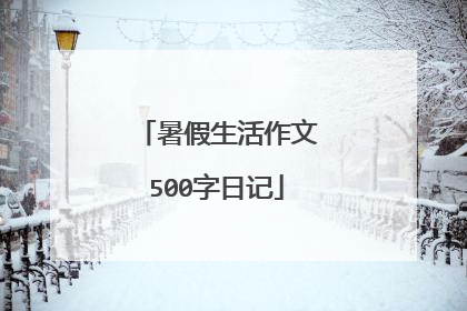 暑假生活作文500字日记