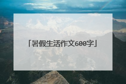 暑假生活作文600字