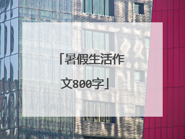 暑假生活作文800字