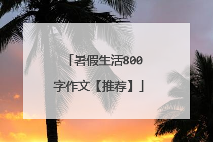 暑假生活800字作文【推荐】