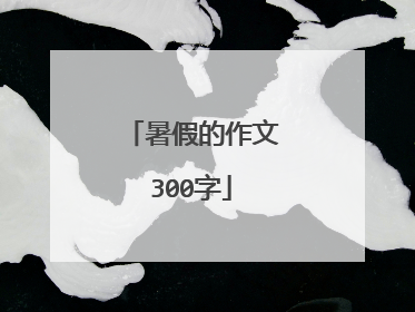 暑假的作文300字