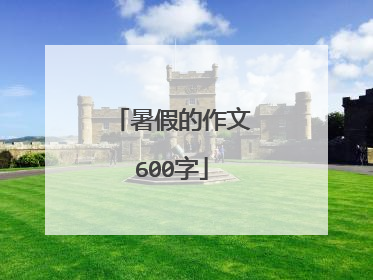 暑假的作文600字