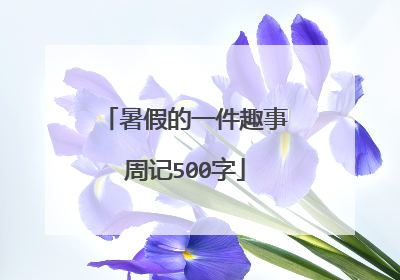 暑假的一件趣事周记500字