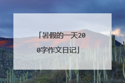暑假的一天200字作文日记