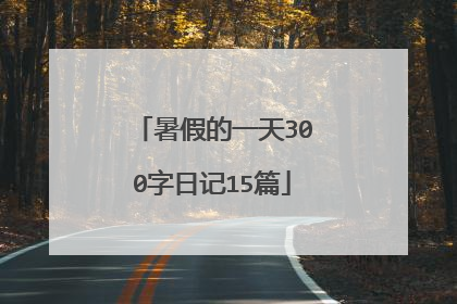 暑假的一天300字日记15篇