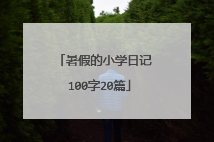 暑假的小学日记100字20篇