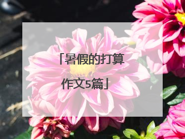 暑假的打算作文5篇