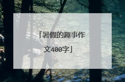 暑假的趣事作文400字