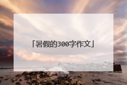 暑假的300字作文