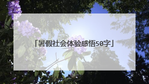 暑假社会体验感悟50字